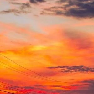 Meet your Posher, Latoya